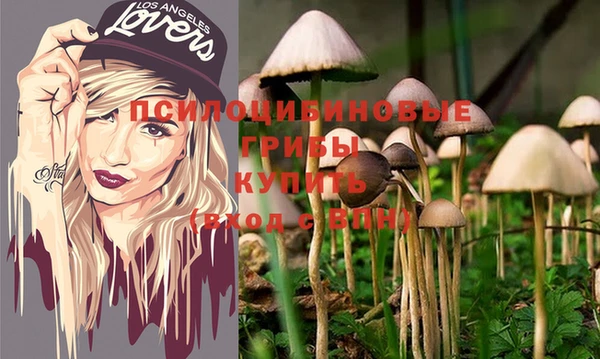 марки nbome Лиски