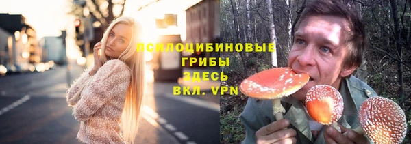 прущие крисы Туринск