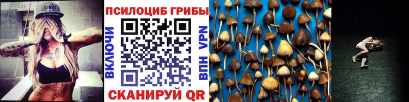 Псилоцибиновые грибы Psilocybe  блэк спрут tor  Туран  купить закладку 