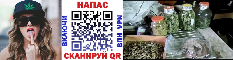 МЕГА ONION  Туран  Марихуана Bruce Banner  нарко площадка как зайти  наркотики 